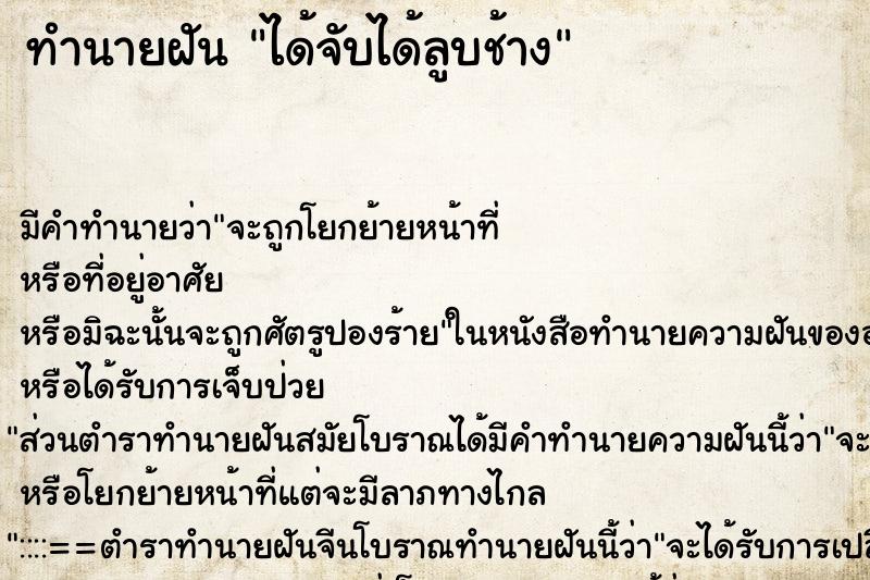 ทำนายฝัน ได้จับได้ลูบช้าง ทำนายฝัน ได้จับได้ลูบช้าง
