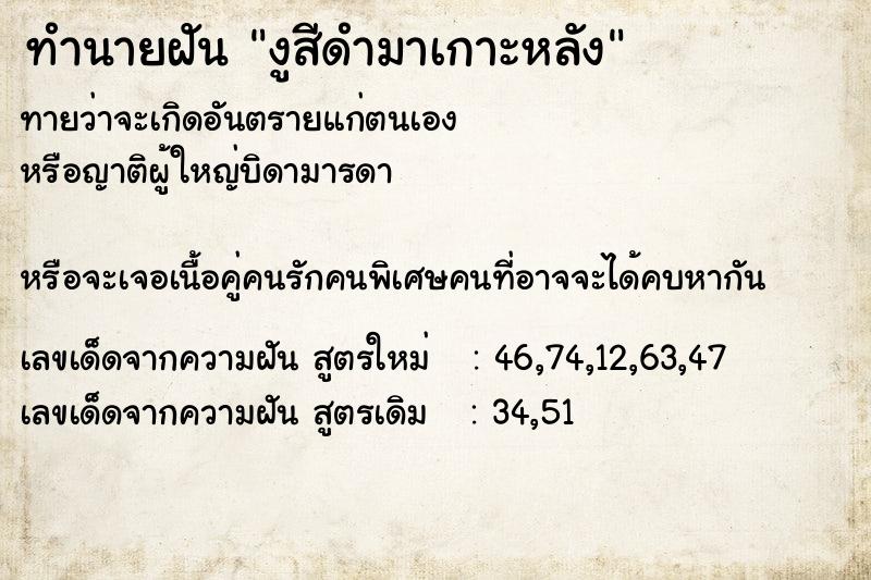 ทำนายฝันงูสีดำมาเกาะหลัง ทำนายฝันทำนายฝันงูสีดำมาเกาะหลัง