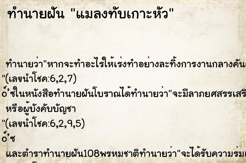 ทำนายฝัน แมลงทับเกาะหัว ทำนายฝัน แมลงทับเกาะหัว