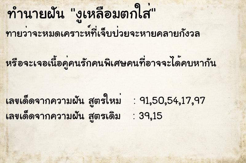 ทำนายฝันงูเหลือมตกใส่ ทำนายฝันทำนายฝันงูเหลือมตกใส่