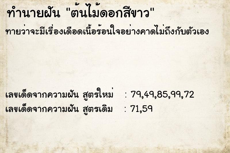 ทำนายฝันต้นไม้ดอกสีขาว ทำนายฝันทำนายฝันต้นไม้ดอกสีขาว