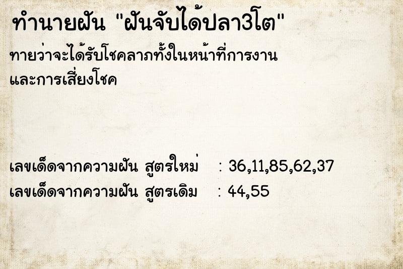 ทำนายฝันทำนายฝันฝันจับได้ปลา3โต