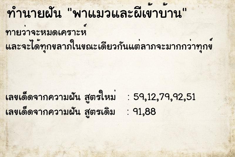 ทำนายฝันพาแมวและผีเข้าบ้าน ทำนายฝันทำนายฝันพาแมวและผีเข้าบ้าน