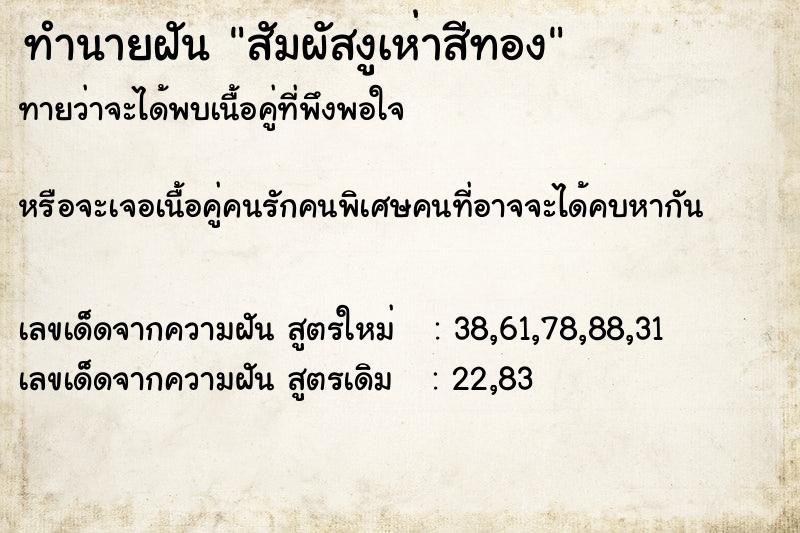 ทำนายฝันสัมผัสงูเห่าสีทอง ทำนายฝันทำนายฝันสัมผัสงูเห่าสีทอง