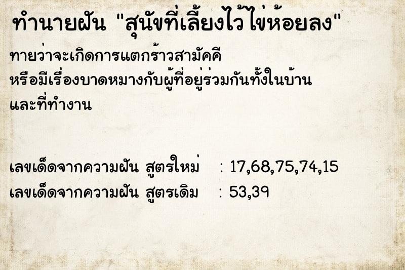 ทำนายฝันสุนัขที่เลี้ยงไว้ไข่ห้อยลง ทำนายฝันทำนายฝันสุนัขที่เลี้ยงไว้ไข่ห้อยลง