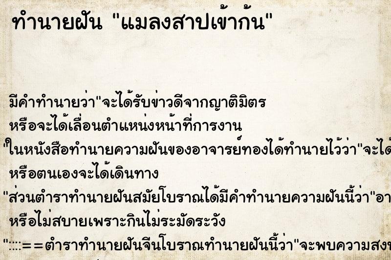 ทำนายฝัน แมลงสาปเข้าก้น ทำนายฝัน แมลงสาปเข้าก้น