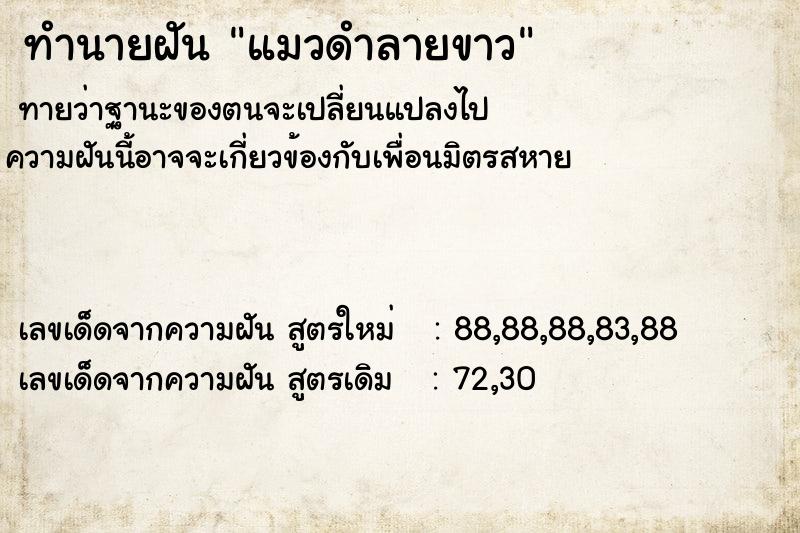 ทำนายฝันทำนายฝันแมวดำลายขาว
