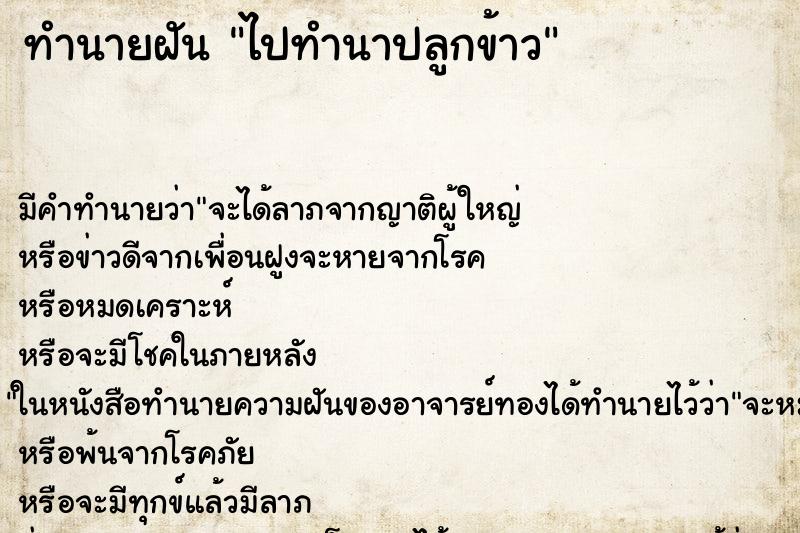 ทำนายฝัน ไปทำนาปลูกข้าว ทำนายฝัน ไปทำนาปลูกข้าว