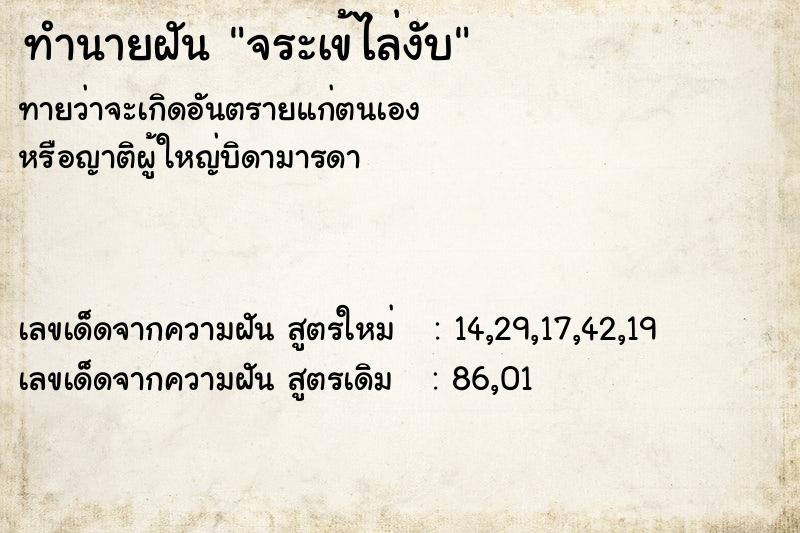 ทำนายฝันจระเข้ไล่งับ ทำนายฝันทำนายฝันจระเข้ไล่งับ