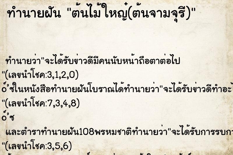 ทำนายฝัน ต้นไม้ใหญ๋(ต้นจามจุรี)