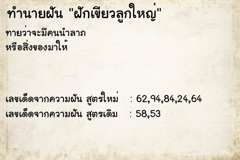 ทำนายฝันทำนายฝันฝักเขียวลูกใหญ่