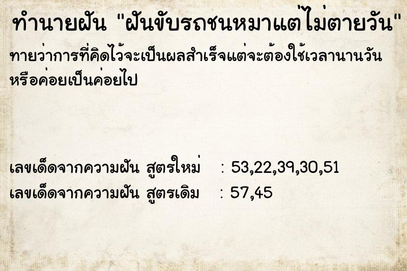 ทำนายฝันทำนายฝันฝันขับรถชนหมาแต่ไม่ตายวัน