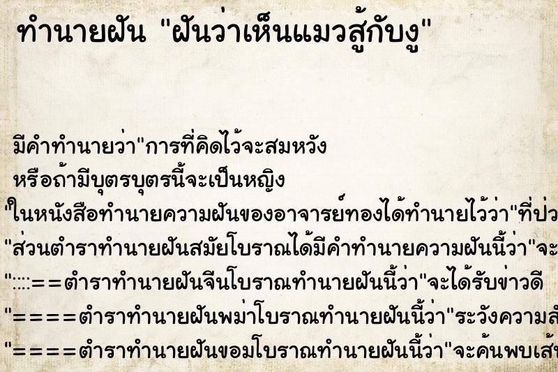 ทำนายฝัน ฝันว่าเห็นแมวสู้กับงู ทำนายฝัน ฝันว่าเห็นแมวสู้กับงู