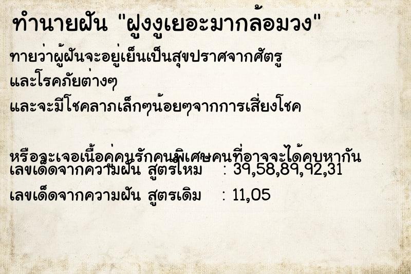 ทำนายฝันทำนายฝันฝูงงูเยอะมากล้อมวง