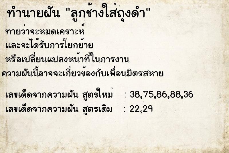 ทำนายฝันทำนายฝันลูกช้างใส่ถุงดำ