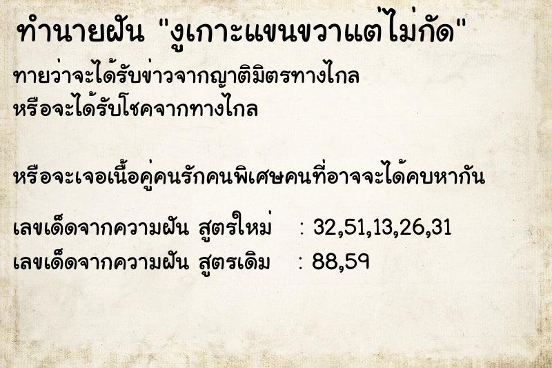 ทำนายฝันงูเกาะแขนขวาแต่ไม่กัด ทำนายฝันทำนายฝันงูเกาะแขนขวาแต่ไม่กัด