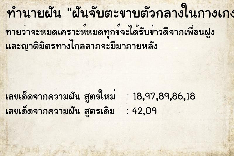 ทำนายฝัน ฝันจับตะขาบตัวกลางในกางเกง ทำนายฝัน ฝันจับตะขาบตัวกลางในกางเกง