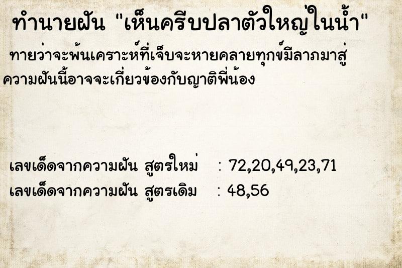 ทำนายฝันทำนายฝันเห็นครีบปลาตัวใหญ่ในน้ำ