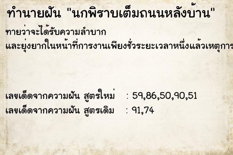 ทำนายฝันนกพิราบเต็มถนนหลังบ้าน ทำนายฝันทำนายฝันนกพิราบเต็มถนนหลังบ้าน