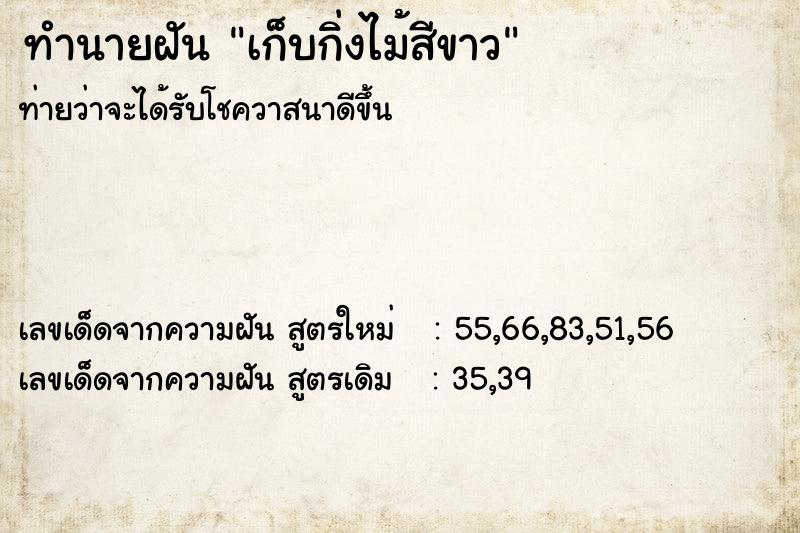 ทำนายฝันทำนายฝันเก็บกิ่งไม้สีขาว