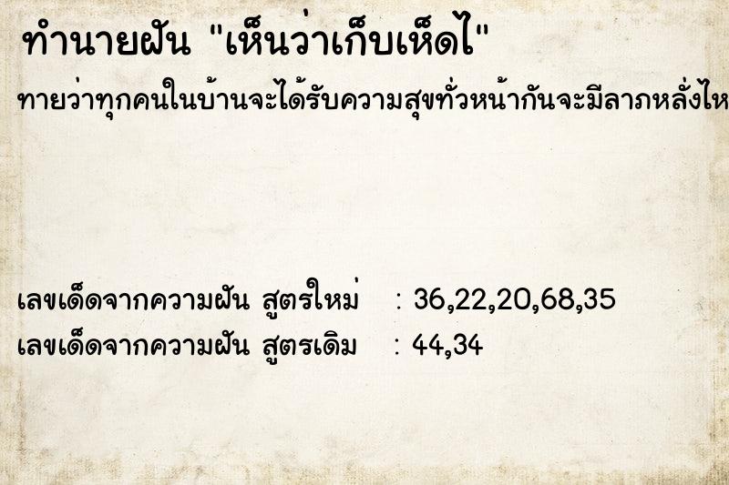 ทำนายฝันทำนายฝันเห็นว่าเก็บเห็ดไ