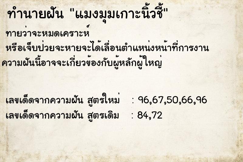 ทำนายฝันแมงมุมเกาะนิ้วชี้ ทำนายฝันทำนายฝันแมงมุมเกาะนิ้วชี้