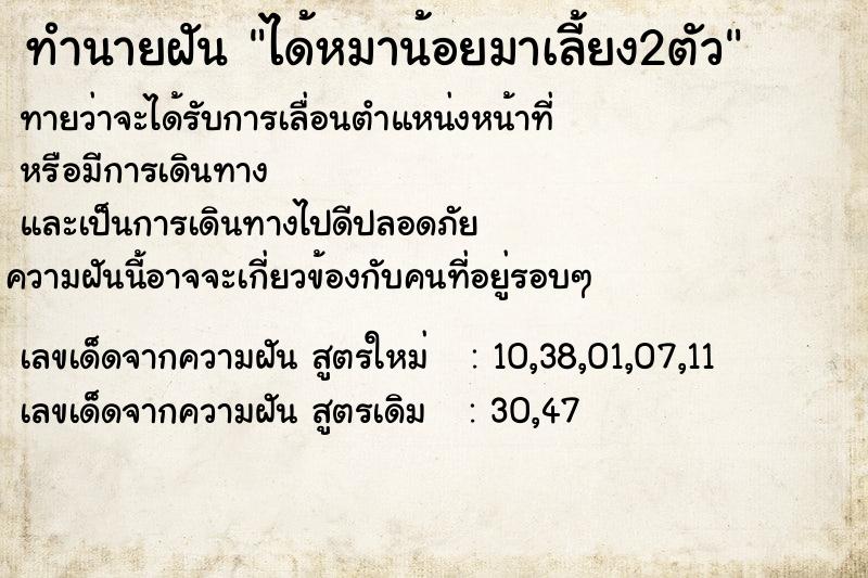 ทำนายฝันได้หมาน้อยมาเลี้ยง2ตัว ทำนายฝันทำนายฝันได้หมาน้อยมาเลี้ยง2ตัว