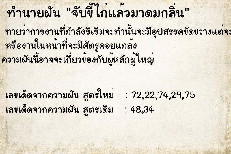 ทำนายฝันจับขี้ไก่แล้วมาดมกลิ่น ทำนายฝันทำนายฝันจับขี้ไก่แล้วมาดมกลิ่น