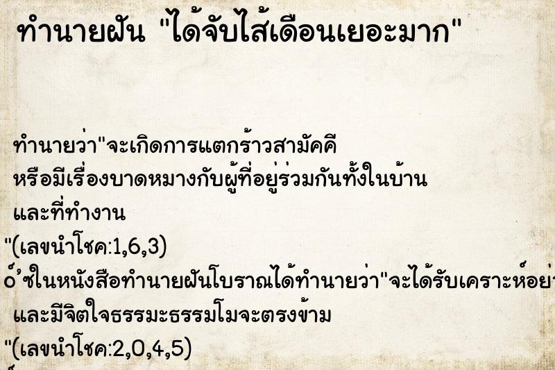 ทำนายฝัน ได้จับไส้เดือนเยอะมาก
