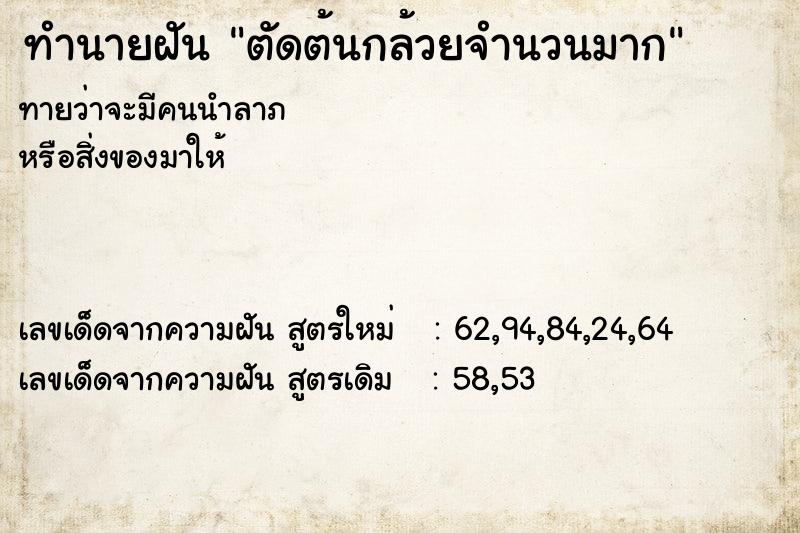 ทำนายฝันตัดต้นกล้วยจำนวนมาก ทำนายฝันทำนายฝันตัดต้นกล้วยจำนวนมาก