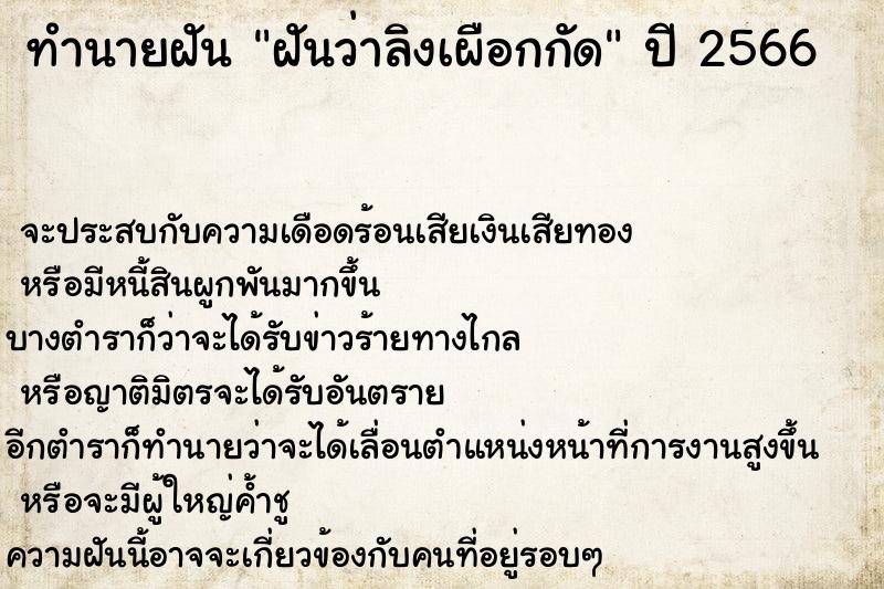 ทำนายฝันฝันว่าลิงเผือกกัด ทำนายฝันทำนายฝันฝันว่าลิงเผือกกัด