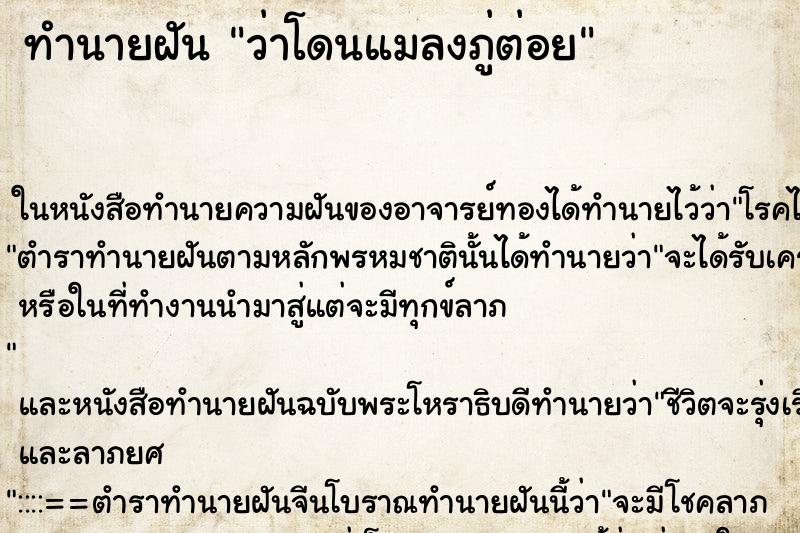 ทำนายฝันว่าโดนแมลงภู่ต่อย ทำนายฝันทำนายฝันว่าโดนแมลงภู่ต่อย