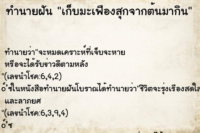 ทำนายฝันทำนายฝันเก็บมะเฟืองสุกจากต้นมากิน