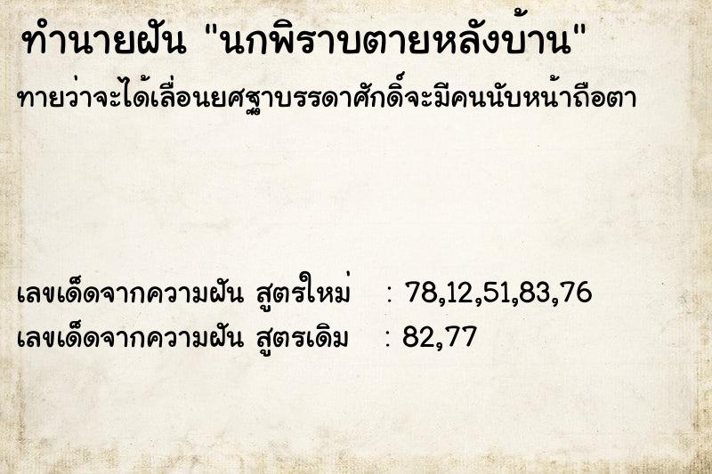 ทำนายฝันนกพิราบตายหลังบ้าน ทำนายฝันทำนายฝันนกพิราบตายหลังบ้าน