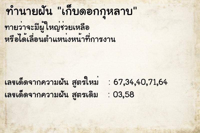 ทำนายฝัน เก็บดอกกุหลาบ