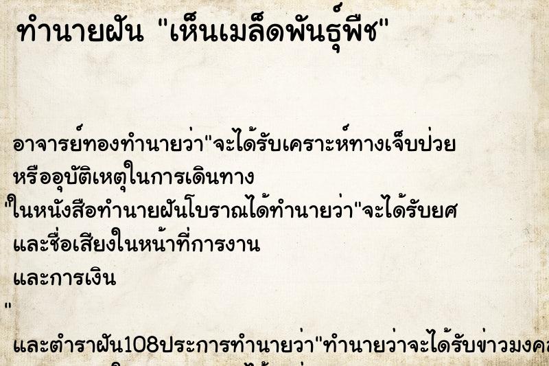 ทำนายฝันเห็นเมล็ดพันธุ์พืช ทำนายฝันทำนายฝันเห็นเมล็ดพันธุ์พืช