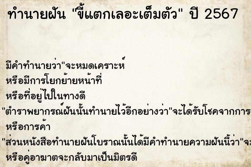 ทำนายฝันทำนายฝันขี้แตกเลอะเต็มตัว