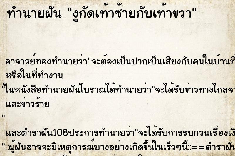ทำนายฝัน งูกัดเท้าซ้ายกับเท้าขวา ทำนายฝัน งูกัดเท้าซ้ายกับเท้าขวา