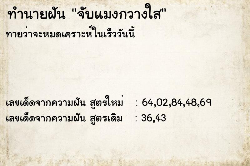 ทำนายฝันทำนายฝันจับแมงกวางใส