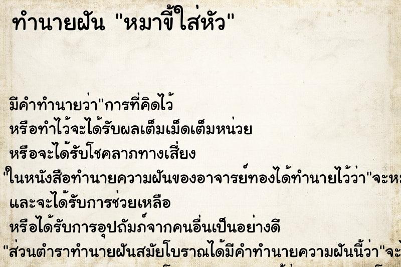 ทำนายฝัน หมาขี้ใส่หัว ทำนายฝัน หมาขี้ใส่หัว