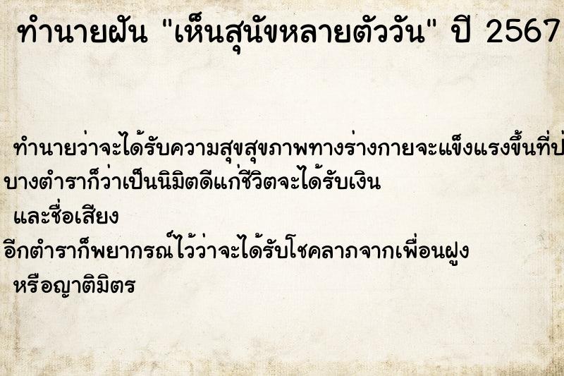 ทำนายฝัน เห็นสุนัขหลายตัววัน ทำนายฝัน เห็นสุนัขหลายตัววัน
