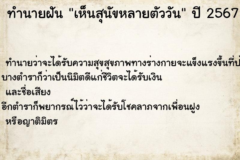 ทำนายฝัน เห็นสุนัขหลายตัววัน ตำราโบราณ แม่นที่สุดในโลก