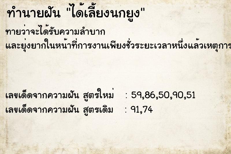 ทำนายฝันได้เลี้ยงนกยูง ทำนายฝันทำนายฝันได้เลี้ยงนกยูง