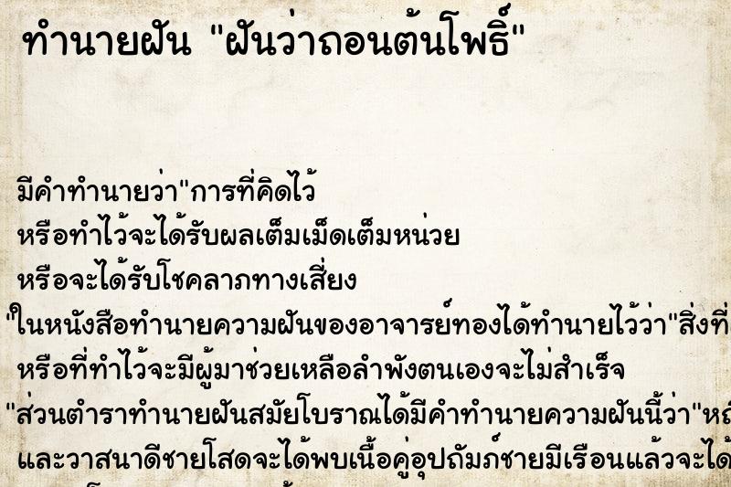 ทำนายฝัน ฝันว่าถอนต้นโพธิ์ ทำนายฝัน ฝันว่าถอนต้นโพธิ์