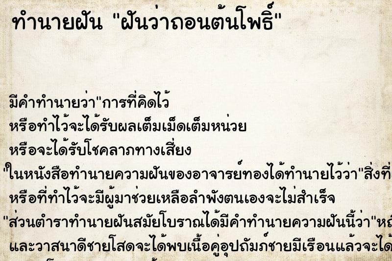 ทำนายฝัน ฝันว่าถอนต้นโพธิ์ ตำราโบราณ แม่นที่สุดในโลก