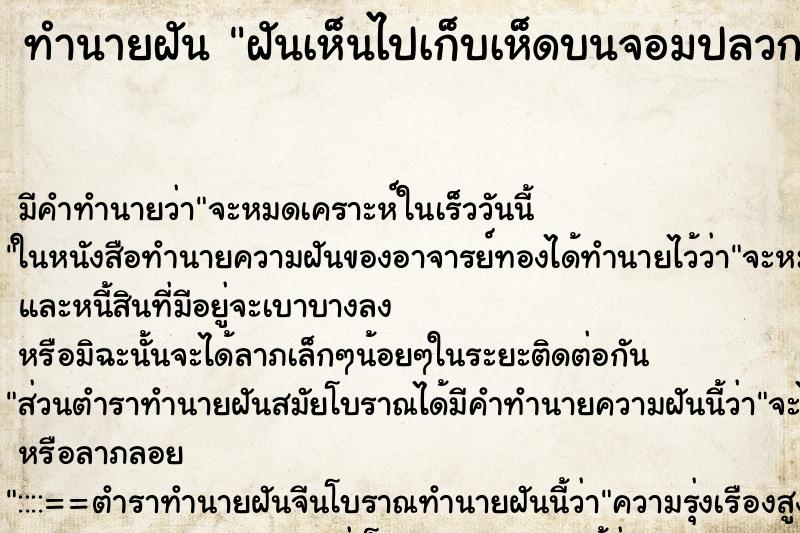 ทำนายฝัน ฝันเห็นไปเก็บเห็ดบนจอมปลวก ทำนายฝัน ฝันเห็นไปเก็บเห็ดบนจอมปลวก