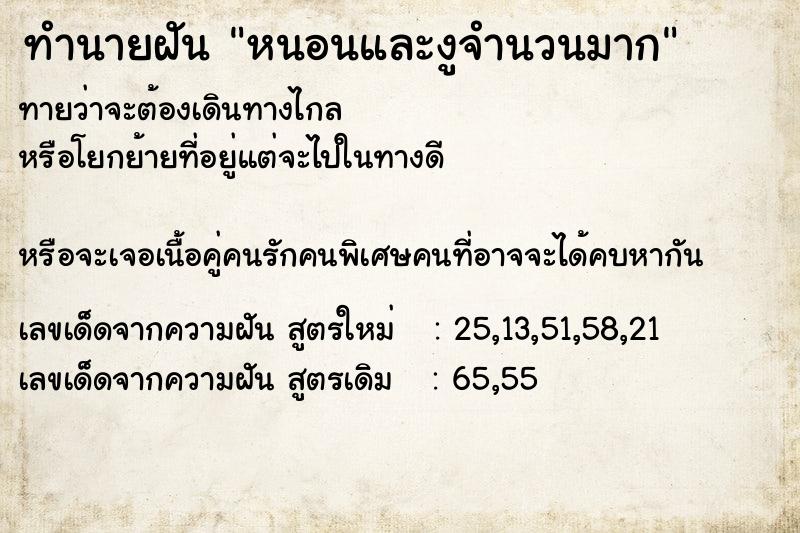 ทำนายฝัน หนอนและงูจำนวนมาก ทำนายฝัน หนอนและงูจำนวนมาก