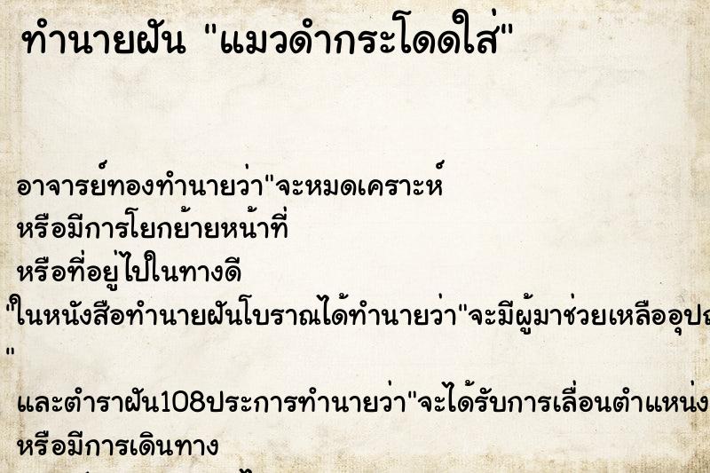 ทำนายฝัน แมวดำกระโดดใส่