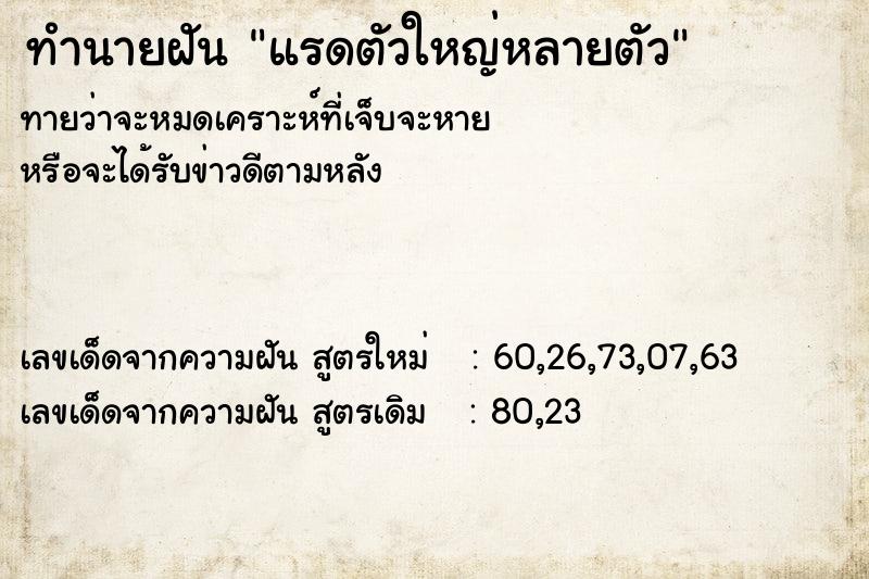 ทำนายฝันทำนายฝันแรดตัวใหญ่หลายตัว