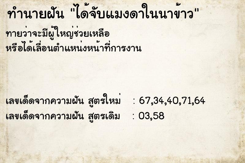 ทำนายฝันได้จับแมงดาในนาข้าว ทำนายฝันทำนายฝันได้จับแมงดาในนาข้าว